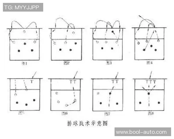 杭州排球队的转换打法深度解析与战术创新探讨
