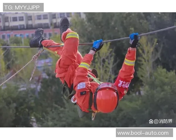 深圳篮球队的蜕变之旅：从草根到职业的奋斗与荣耀