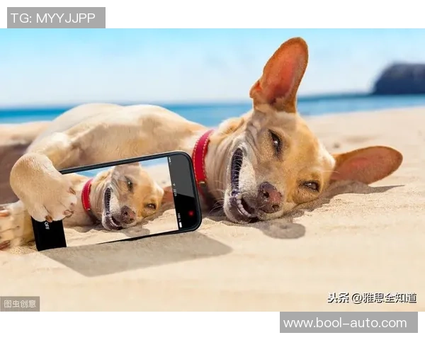 足球明星精彩瞬间与搞笑表情的完美结合让你捧腹大笑的创意配字合集 足球明星精彩瞬间与搞笑表情的完美结合让你捧腹大笑的创意配字合集