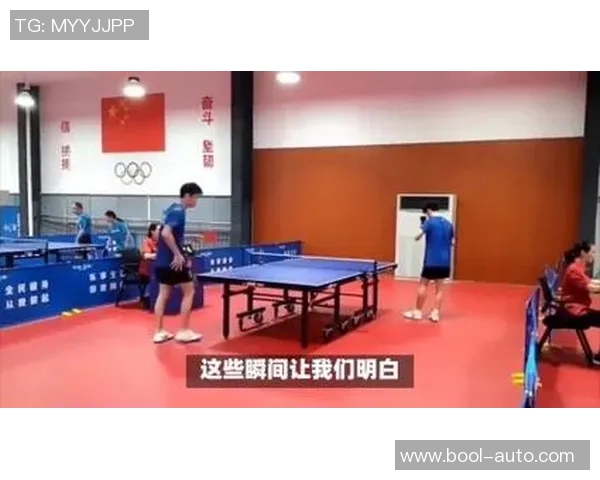 乒乓球纪实：记录武汉乒乓球队的逆袭之旅