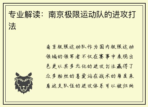 专业解读：南京极限运动队的进攻打法