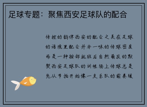 足球专题:聚焦西安足球队的配合