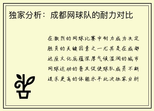 独家分析：成都网球队的耐力对比